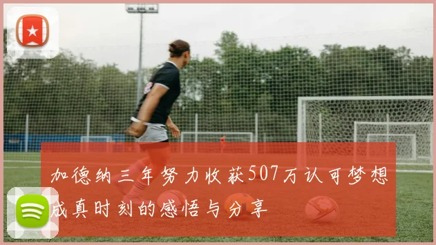 加德纳三年努力收获507万认可梦想成真时刻的感悟与分享