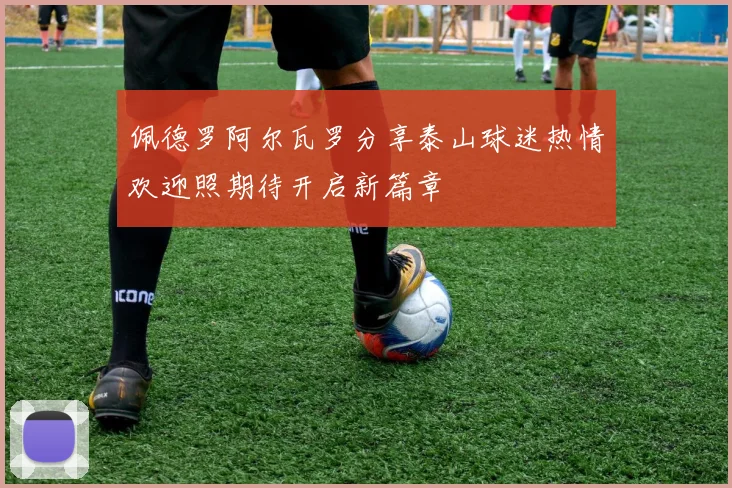 佩德罗阿尔瓦罗分享泰山球迷热情欢迎照期待开启新篇章